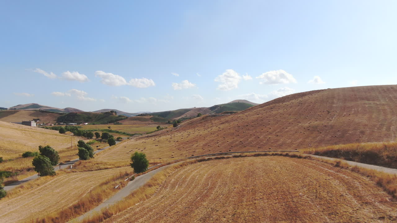 뒤쪽의 교통 도로와 언덕 옆에 있는 광대한 노란색 밀밭