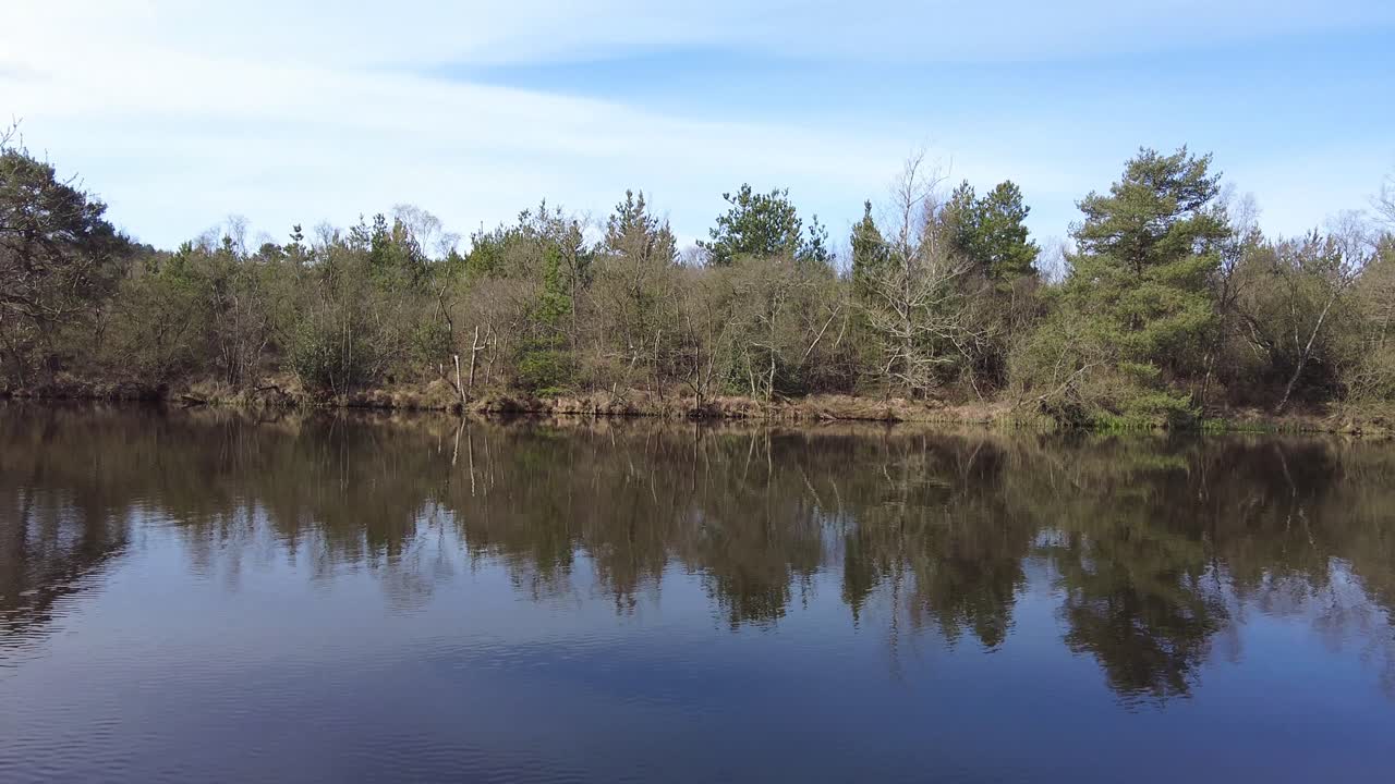 Forest River with Calm Water Reflection