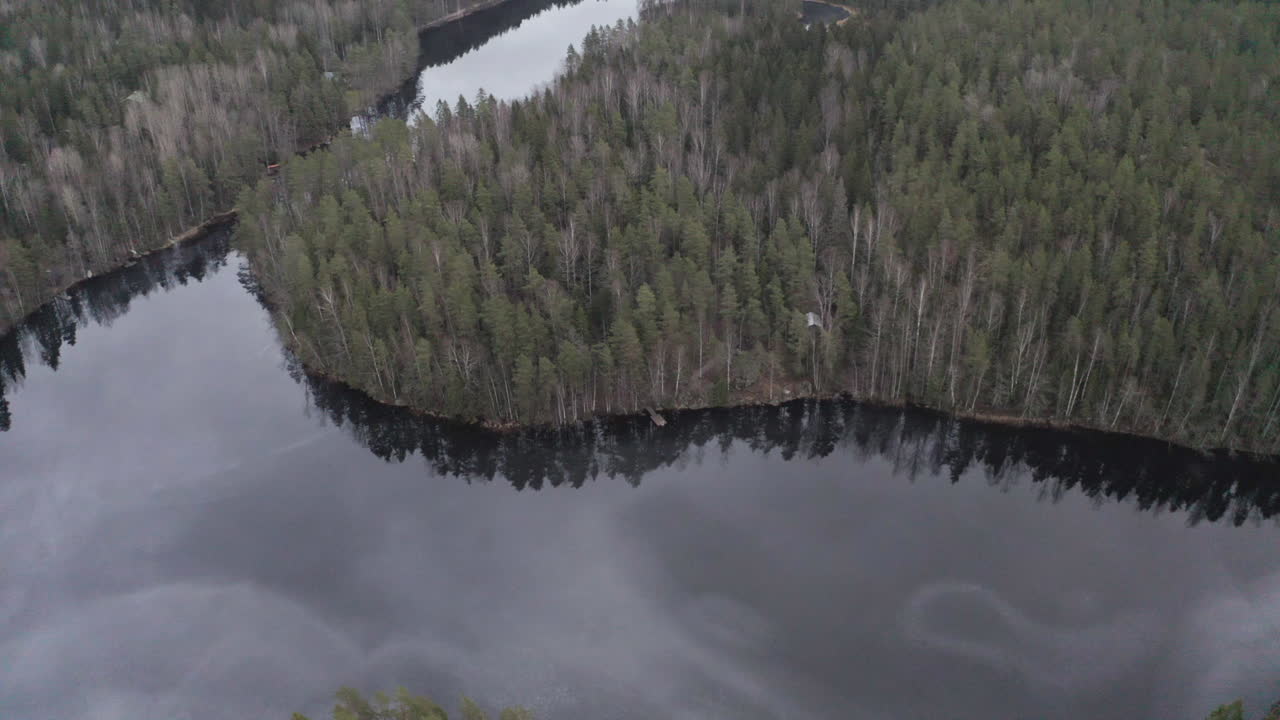 vista de avión no tripulado del lago en medio del bosque