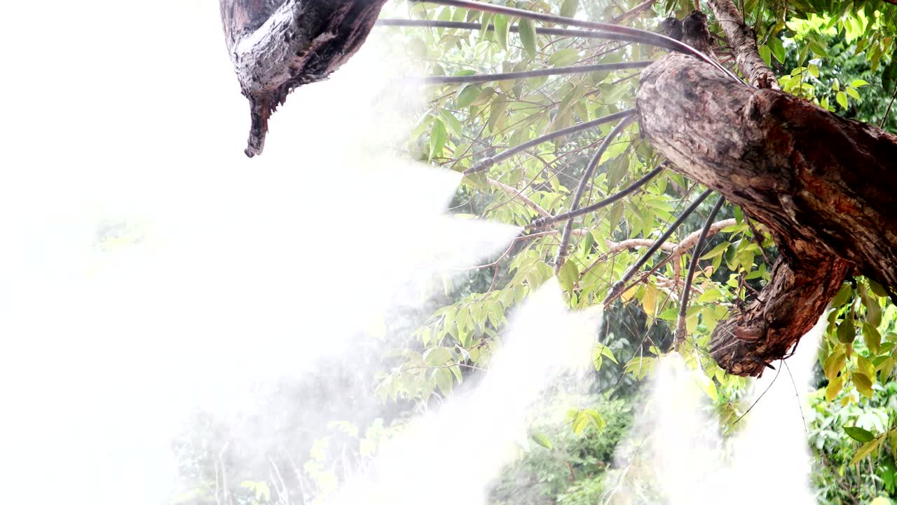 꽃 정원에서 식물 물을 공급하기 위해 나무에 안개 물 또는 안개 스프레이 노즐 설정