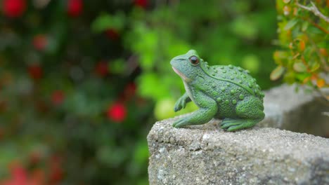 Statisch-Abgesperrt-Erschossen-Einen-Großen-Grünen-Froschgartenschmuck,-Der-An-Einer-Wand-Sitzt