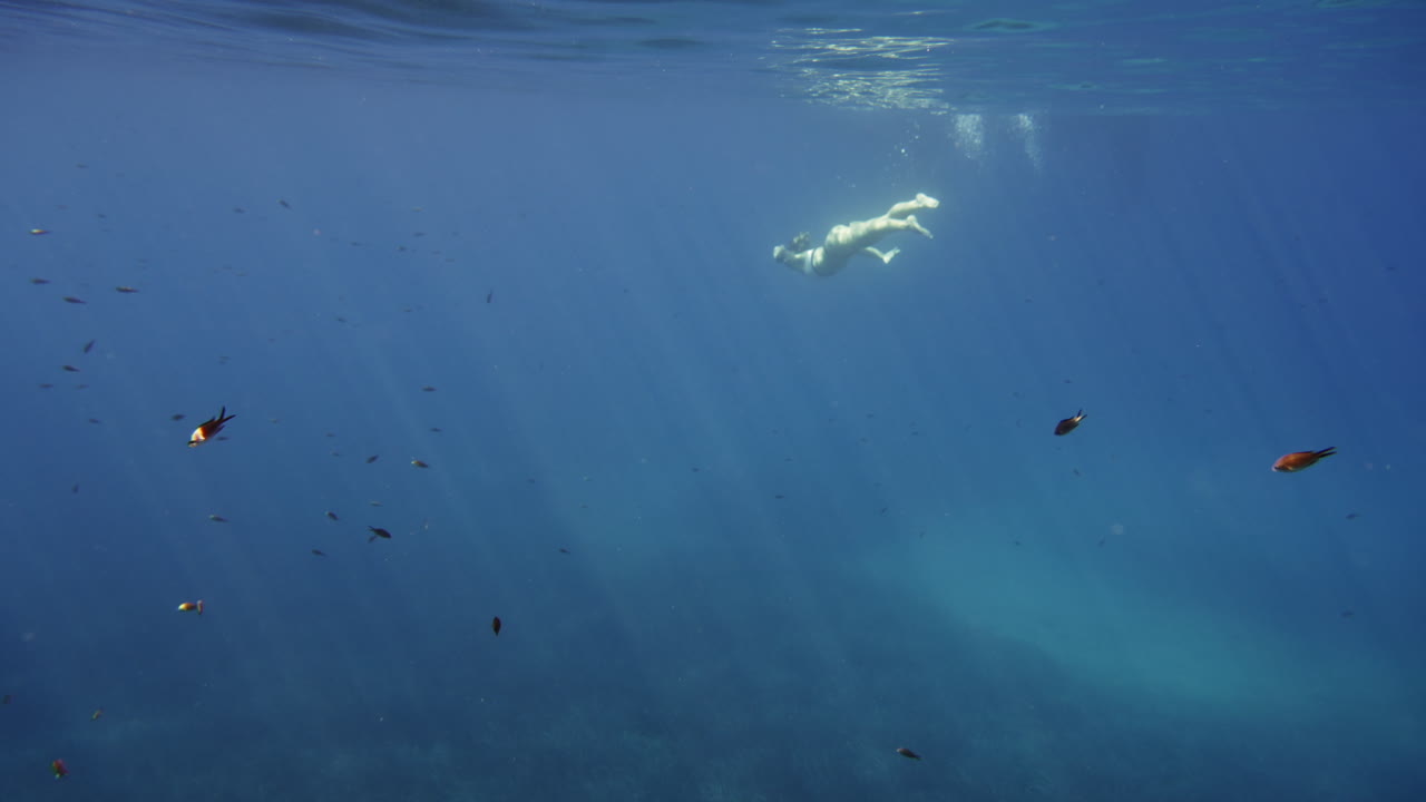 Underwater Snorkeling Experience