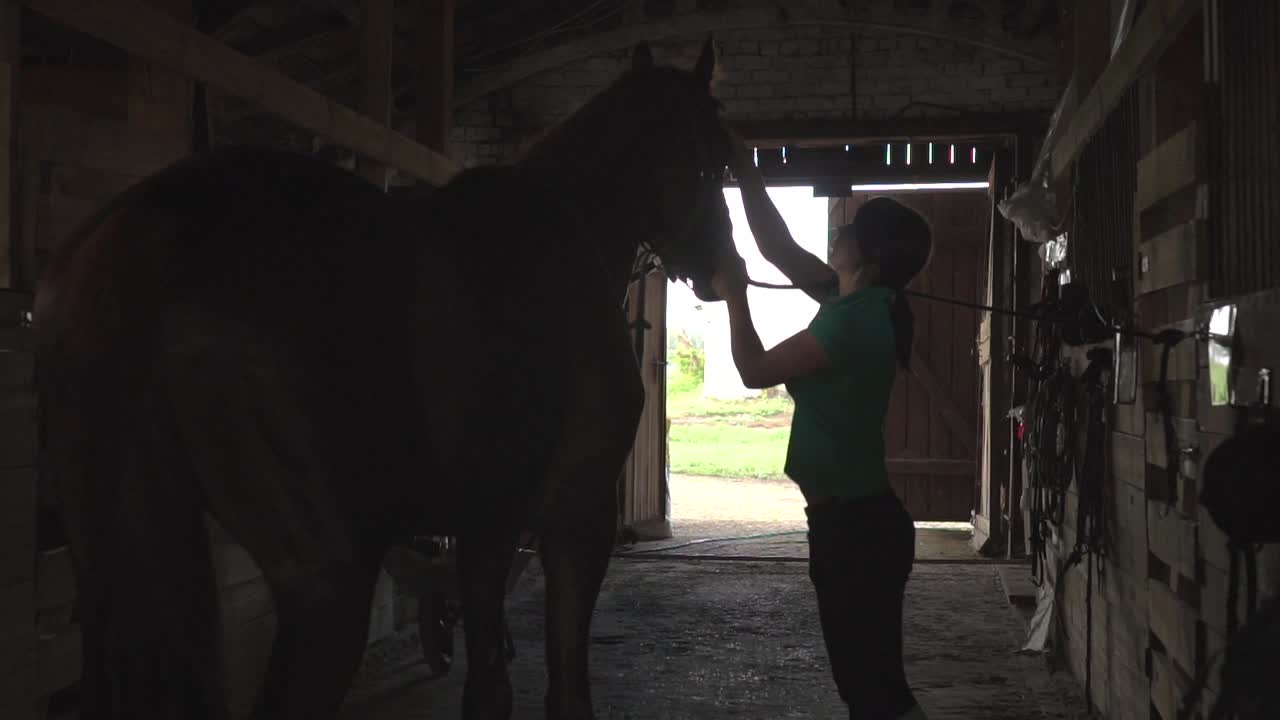 Woman grooming a horse in a stable