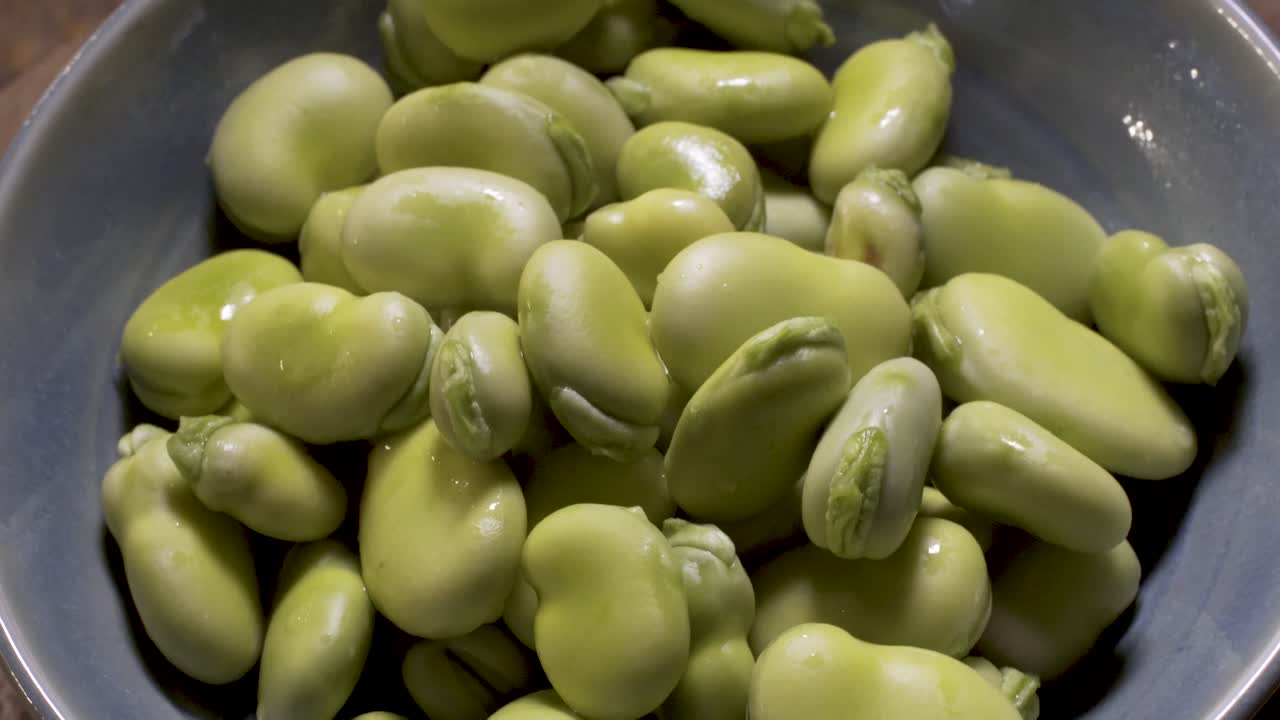Bowl of Fava Beans