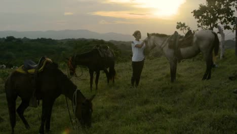 woman stroking a horse in a backlight sunset with two other horses grazing