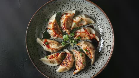 delicious dumplings on ceramic plate with sauce and herbs