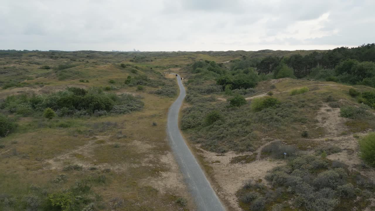 Aerial drone view of an empty winding path cutting through a lush and expansive dune landscape in the Netherlands
