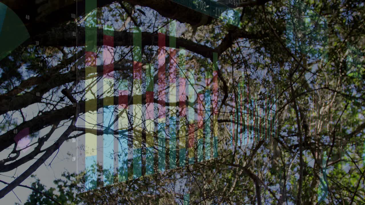 Glitch bars appearing on left shifting right and fading while revealing dense canopy and sky