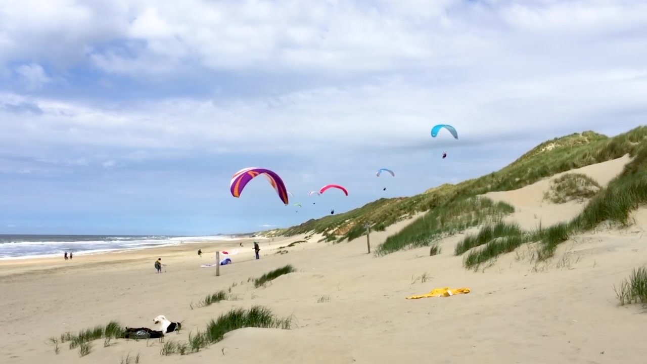 Pagagliders soaring in the dunes on the dutch beach of Wijk an Zee. Sunny day with good wind on the north sea. Several paragliders in the air.