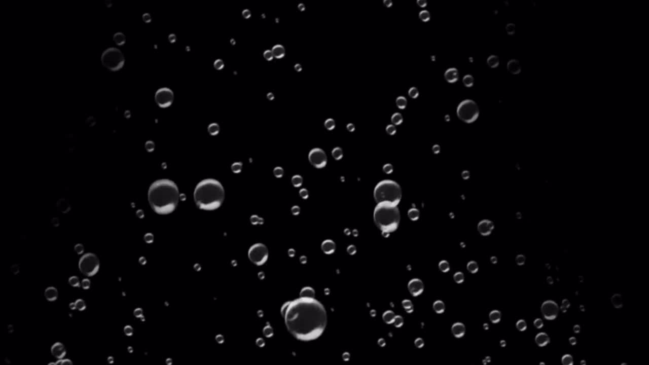 Animation water bubbles floating isolate on black background.