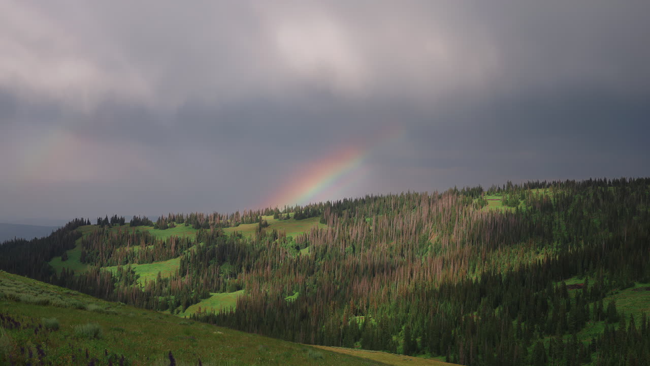 Rainbow And Overcast Sky Over Mountain Forest. Timelapse