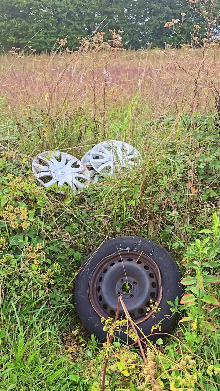 A vertical fixed shot shows an old car tire and discarded hubcaps lying in tall grass, symbolizing pollution in the countryside