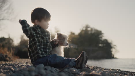 a small asian sits on the beach next to the puppy, throws pebbles into the water