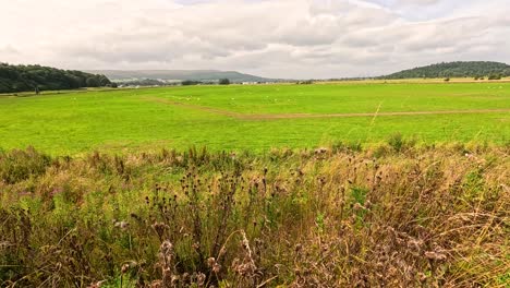 green fields with distant hills and cloudy sky