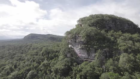 vista aérea del denso bosque en cerro azul, guaviare, colombia durante el día - disparo de drones