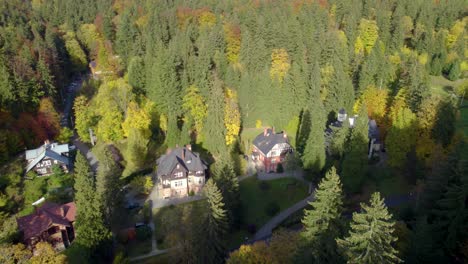 aerial trucking shot of the swiss-style homes in the beautiful valley hidden in the mountain forest in autumn