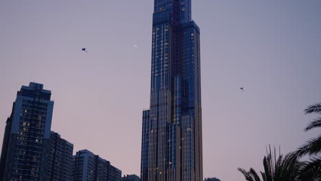 evening skyscraper silhouette with kites
