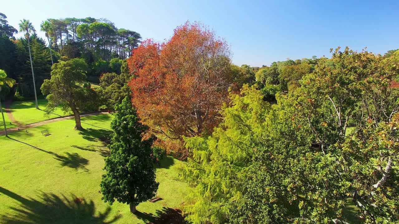 aérea de los parques
