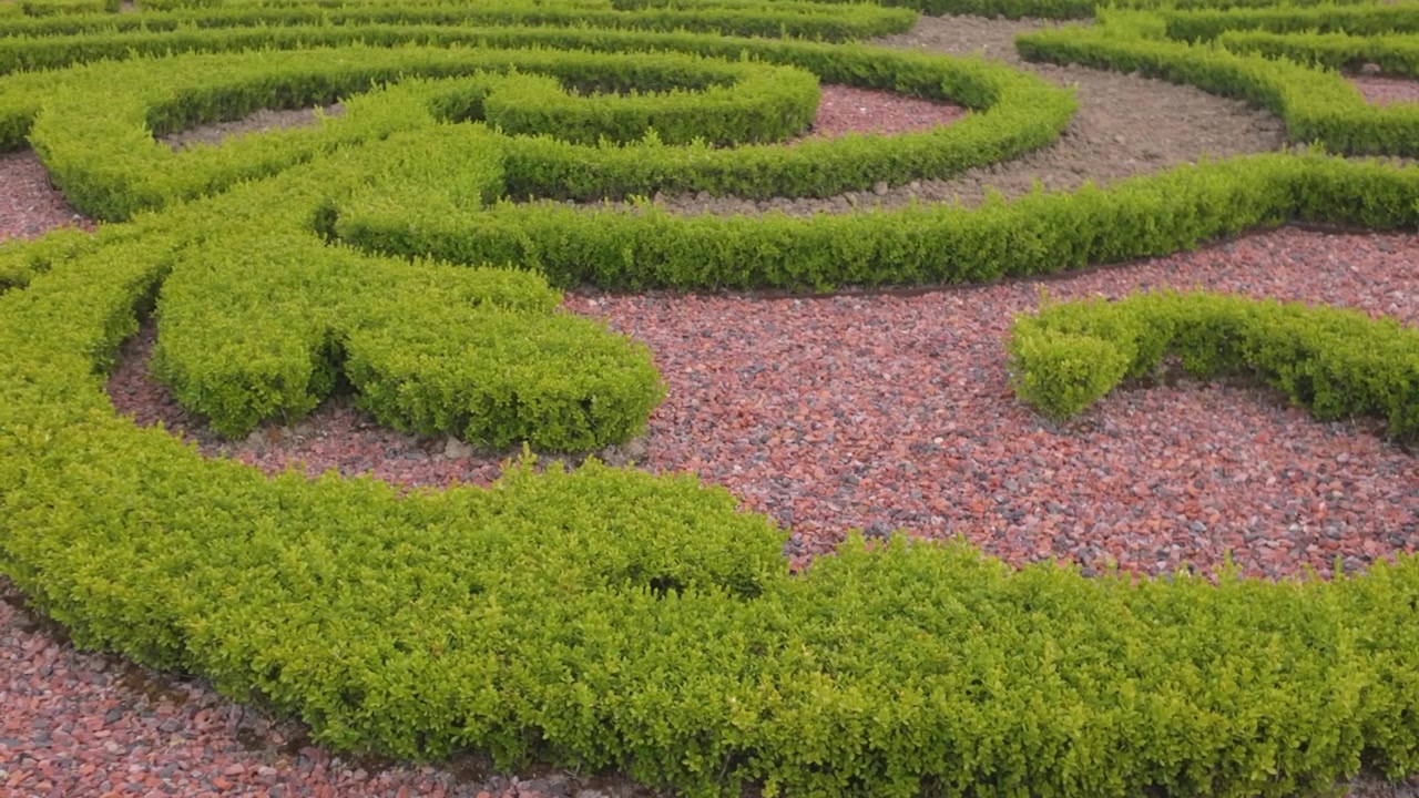 Shaped shrubbery in a maze shape at the gardens of Versailles.