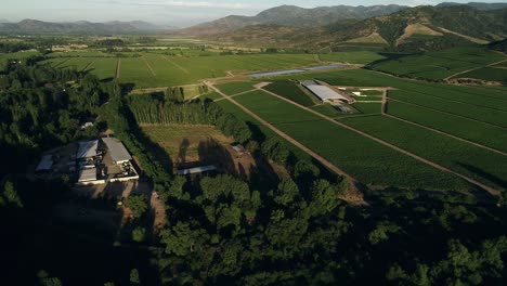 Filmaciones-De-Vista-Aérea-De-Viñedo-Chileno-Y-Tranque