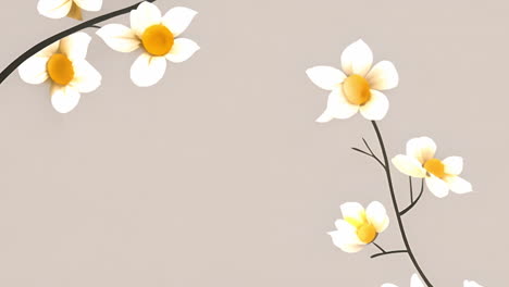 white flowers on a neutral background
