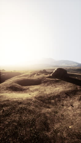 golden hour landscape with grassy field and mountain