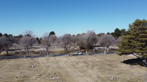 a panning drone shot fallowing a white car as it drives down a cemetery road lined with dead winter trees