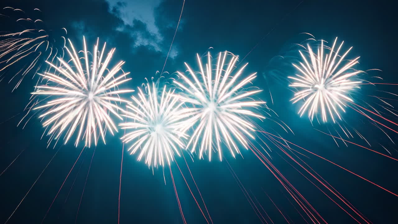 Vibrant Fireworks Exploding in the Night Sky