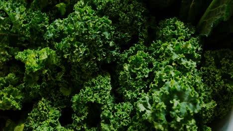 Close-up-of-green-lettuce-vegetable-in-supermarket-4k