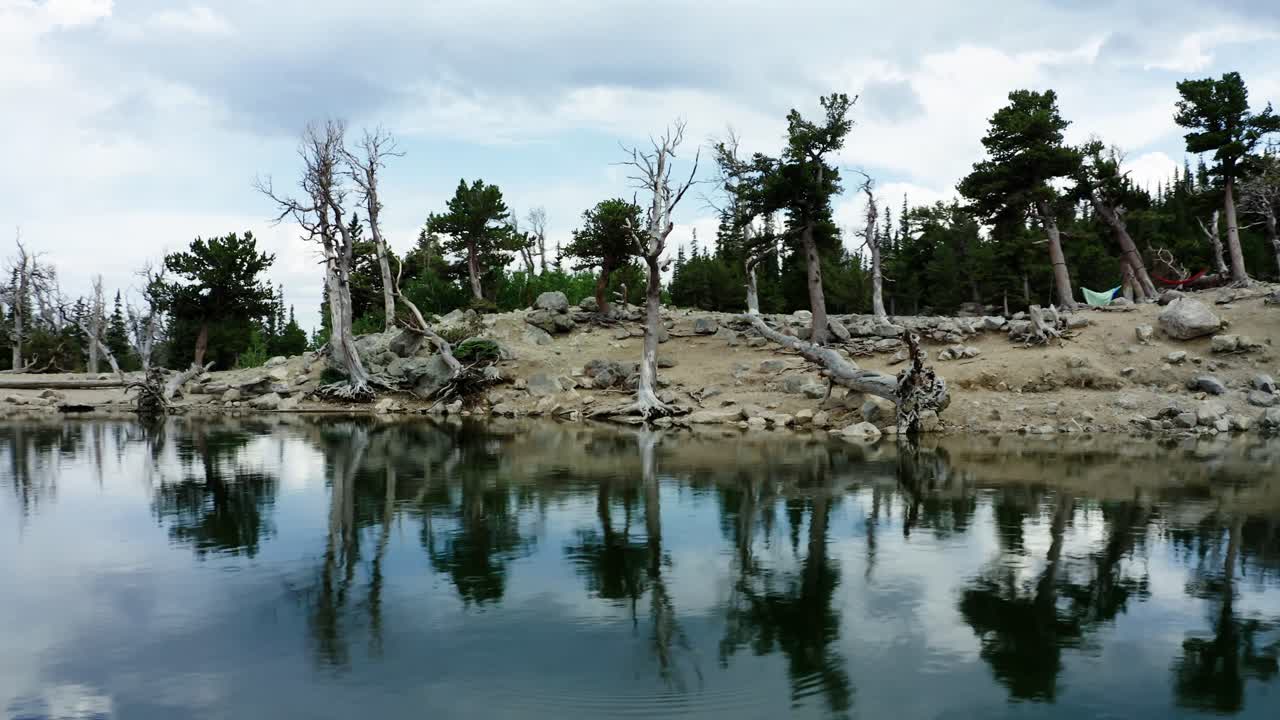 Dead trees lining the shores of Saint Mary's Lake in Colorado