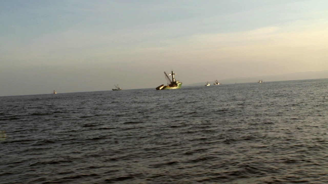 여러 어선이 바다에서 항해