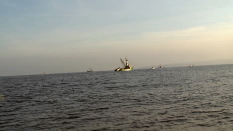 several fishing vessels navigate at sea