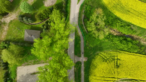 Una-Vista-Desde-Arriba-De-Un-área-Circular-Rodeada-De-árboles-Adyacentes-A-Campos-De-Canola-De-Color-Amarillo-Brillante,-Que-Incluye-Un-Pequeño-Parque-Infantil-Y-Un-Estacionamiento,-Destacando-El-Espacio-Recreativo-De-La-Comunidad