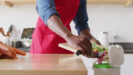 Midsection-of-african-american-man-standing-in-kitchen-and-cleaning-waste