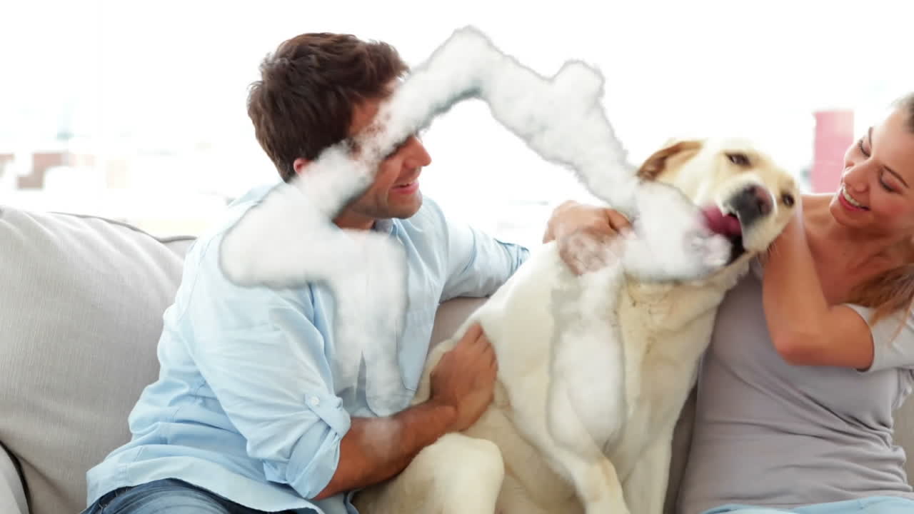 꿈의 집과 개를 가진 커플