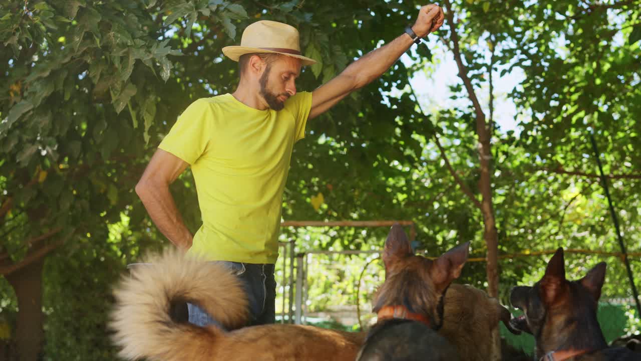 Homem de chapéu com cachorros em jardim ensolarado