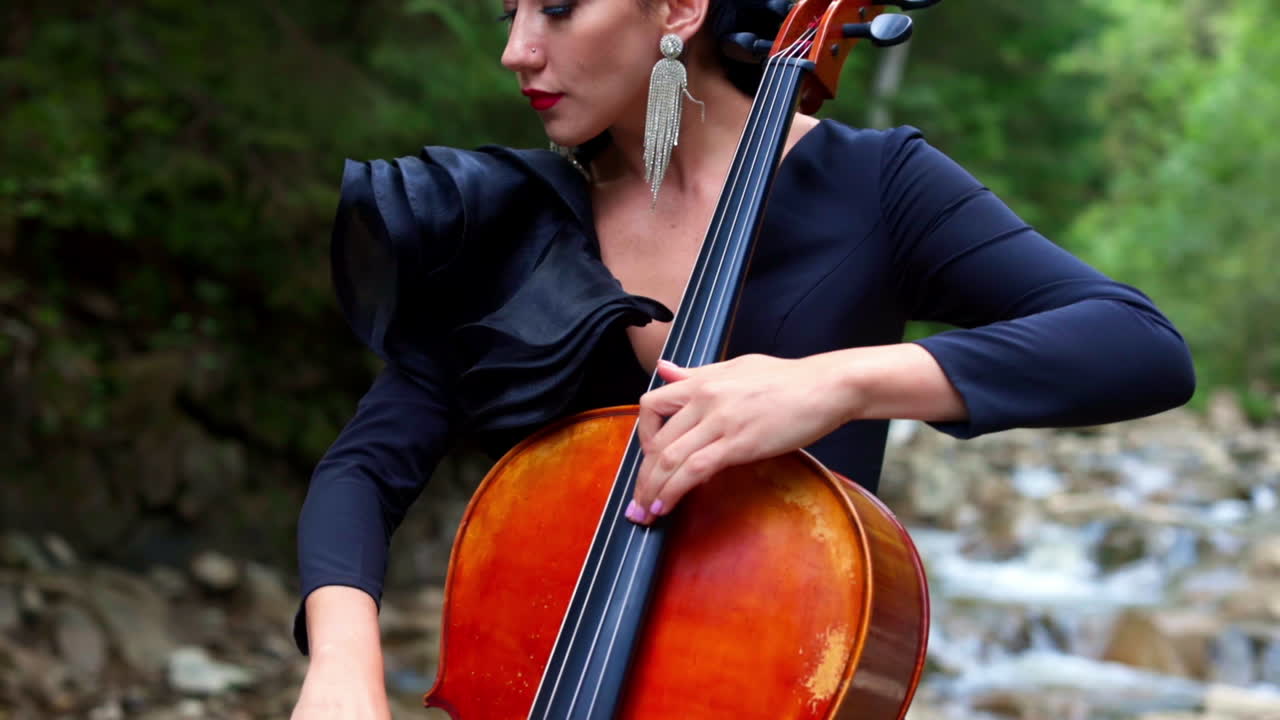 Luxury woman plays the cello. Beautiful girl violinist playing violin on summer landscape. Attractive woman in black dress enjoying musical art while playing instrument.