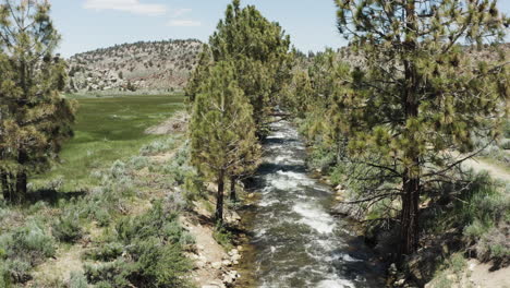 Vista-Panorámica-Del-Arroyo-Deadman-Que-Fluye-A-Través-De-Un-Bosque-De-Pinos-En-California-Bajo-Un-Cielo-Azul-Claro