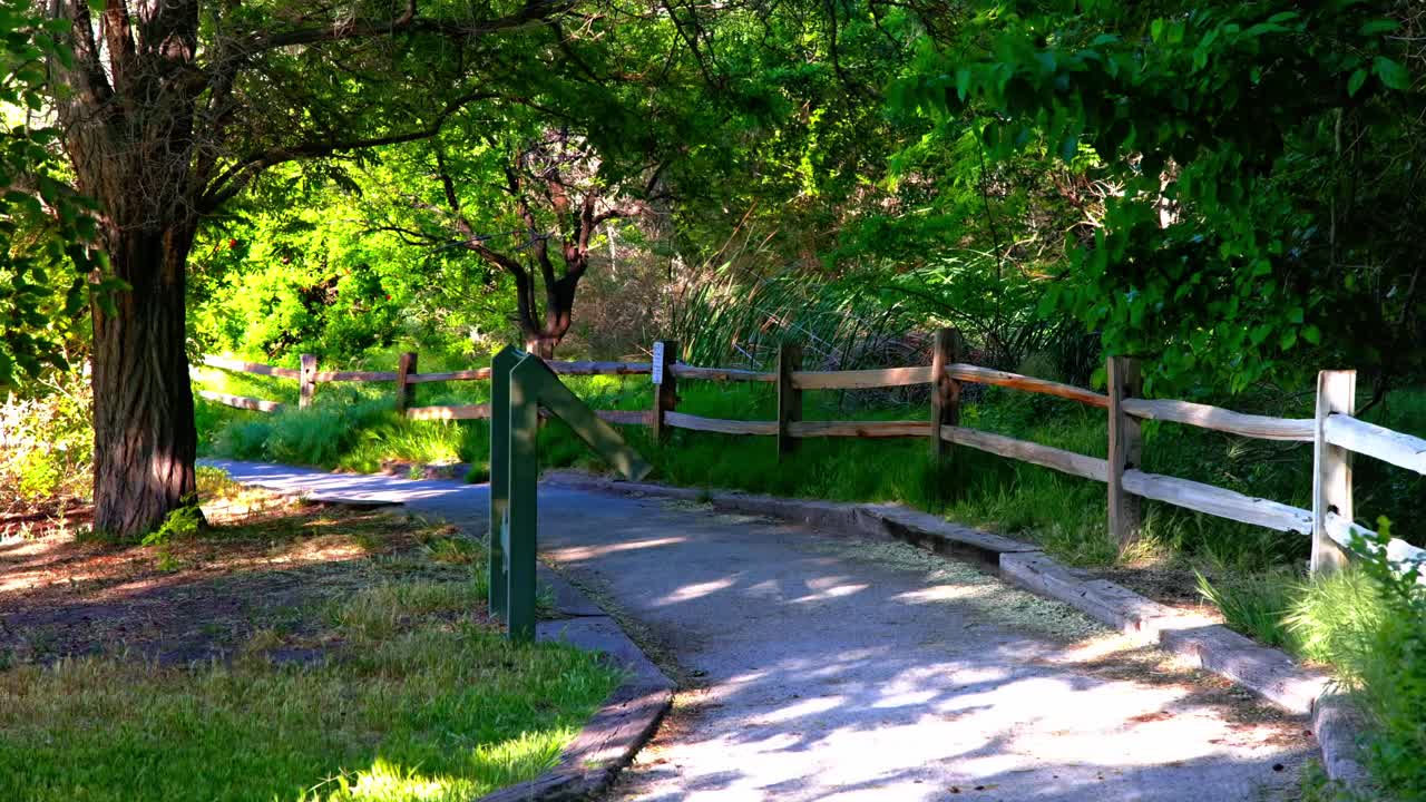 Camminando nei boschi del sud-ovest all'inizio della primavera