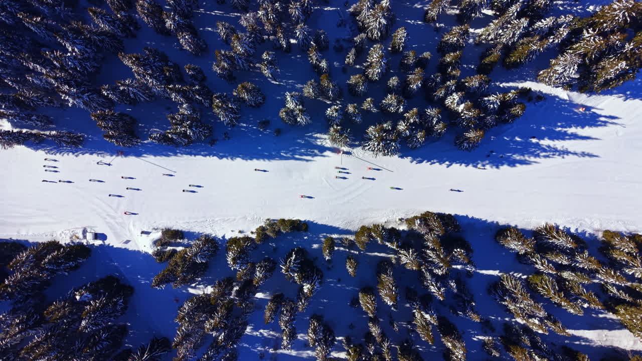 Veduta aerea di una pista da sci con persone e alberi coperti di neve