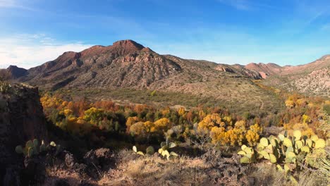 Time-lapse-cloudy-sky-passes-over-a-ribbon-of-fall-foliage-in-the-middle-of-a-desert-canyon