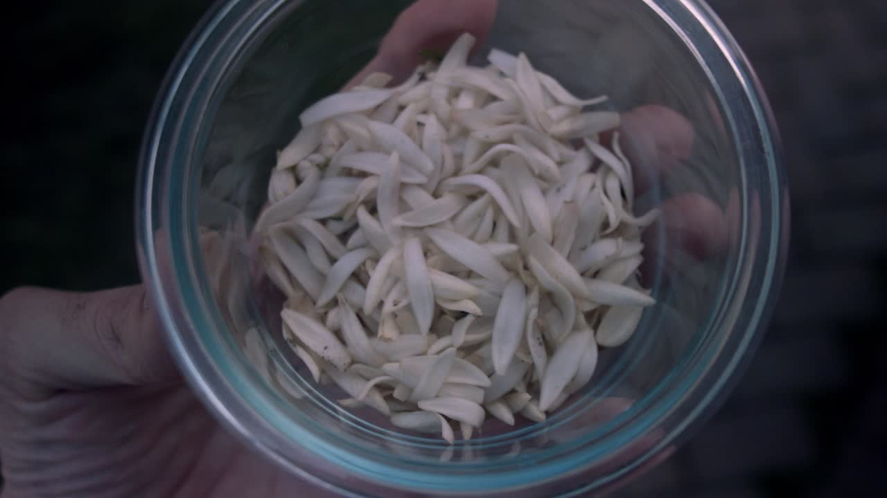 Orange Blossom petals in glass container