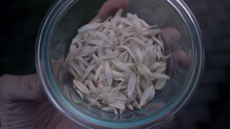 orange blossom petals in glass container