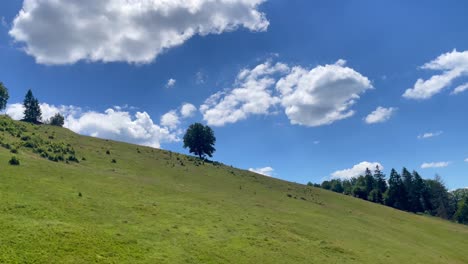 scenic hillside landscape under a sunny sky