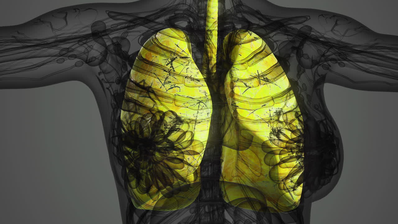 Intricate illustration of human lungs showcasing detailed anatomy and structure