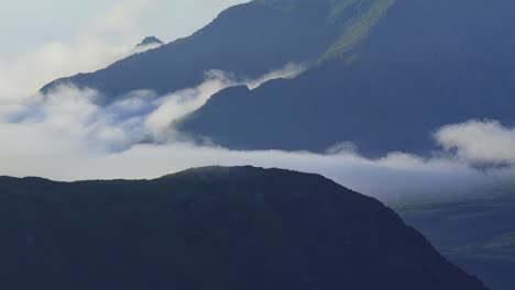 4k 타임 스