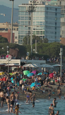 busy beach in sumer in vertical barcelona.