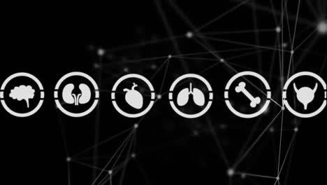 diferentes iconos de órganos en círculos y líneas asimétricas