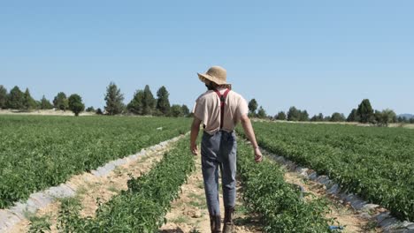 Farmer-Making-Approval-Sign