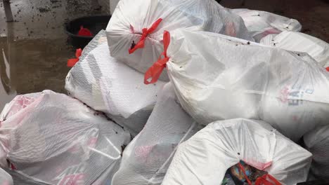 trash bag being thrown in a pile on the wet ground